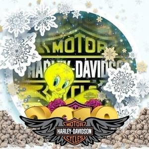 Meet your Posher, Sue